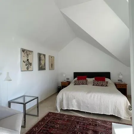 R26 Stunning Penthouse Duplex Elviria Apartment
